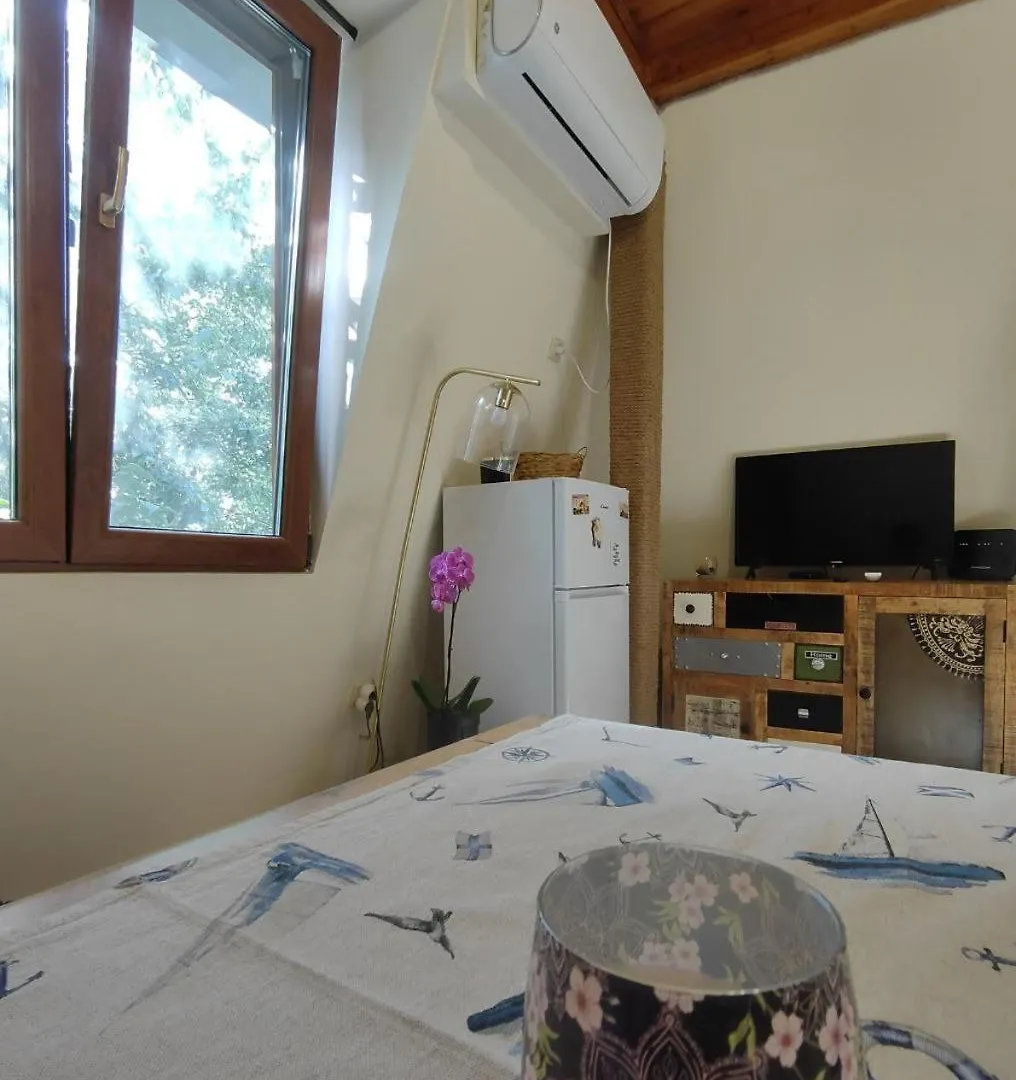 Апартаменты Dream Loft In The Center Of Варна