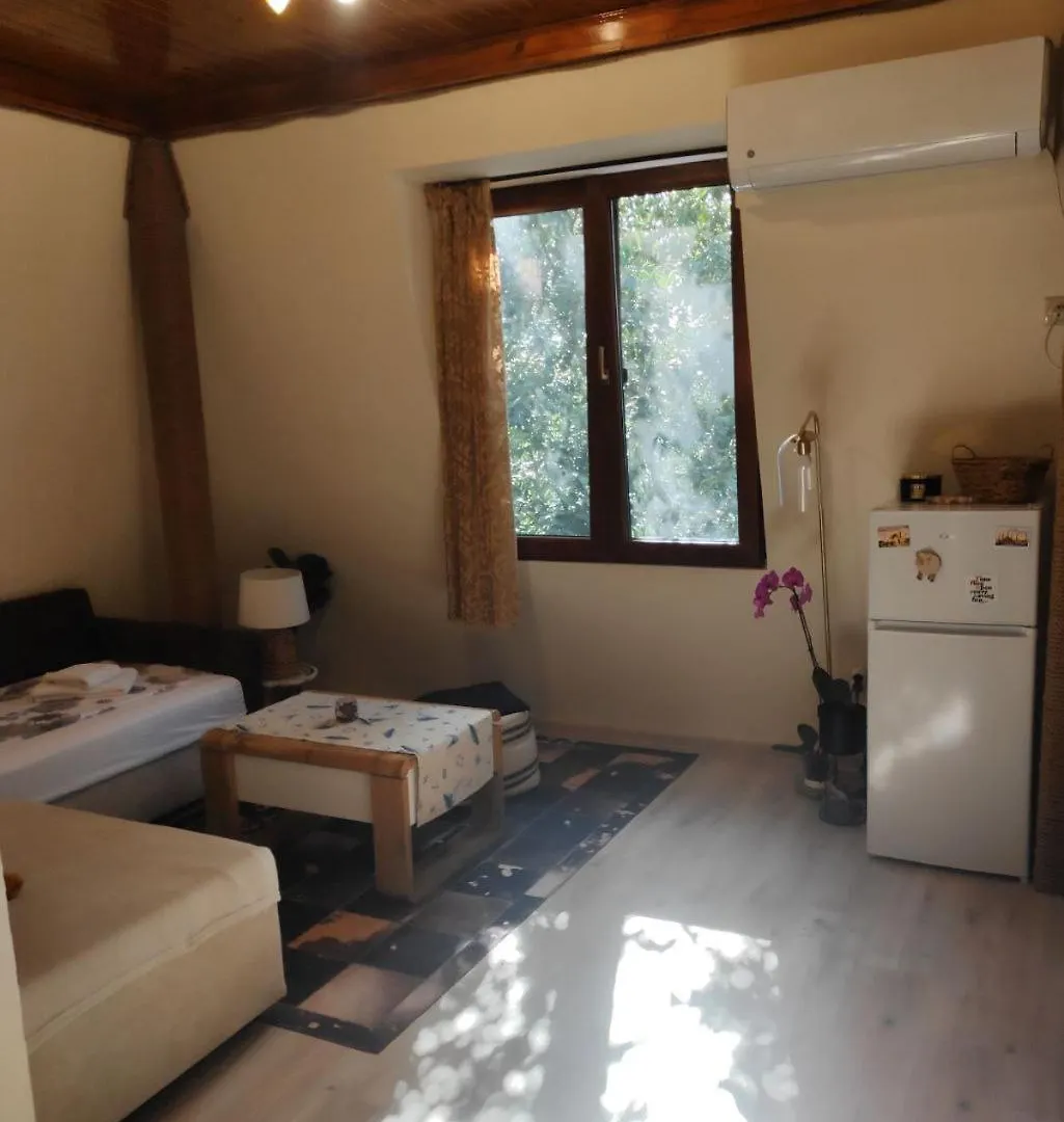 Dream Loft In The Center Of Varna Apartment 0*,