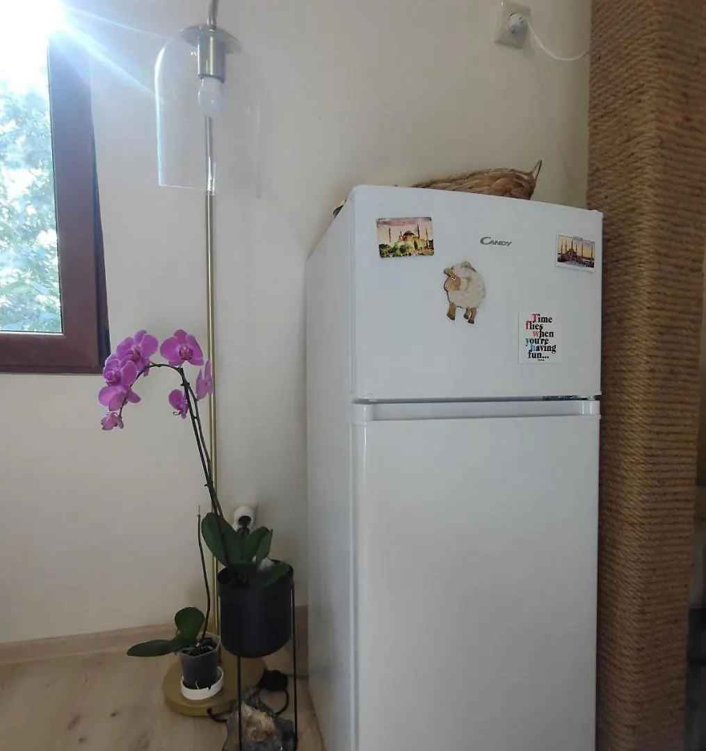 Dream Loft In The Center Of Varna Apartment Bulgaria